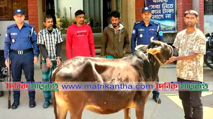 পাংশায় গরুসহ চোর চক্রের ৩জন গ্রেপ্তার